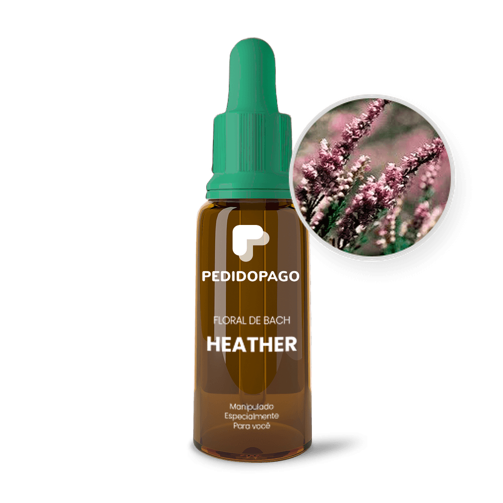 Imagem não encontrada