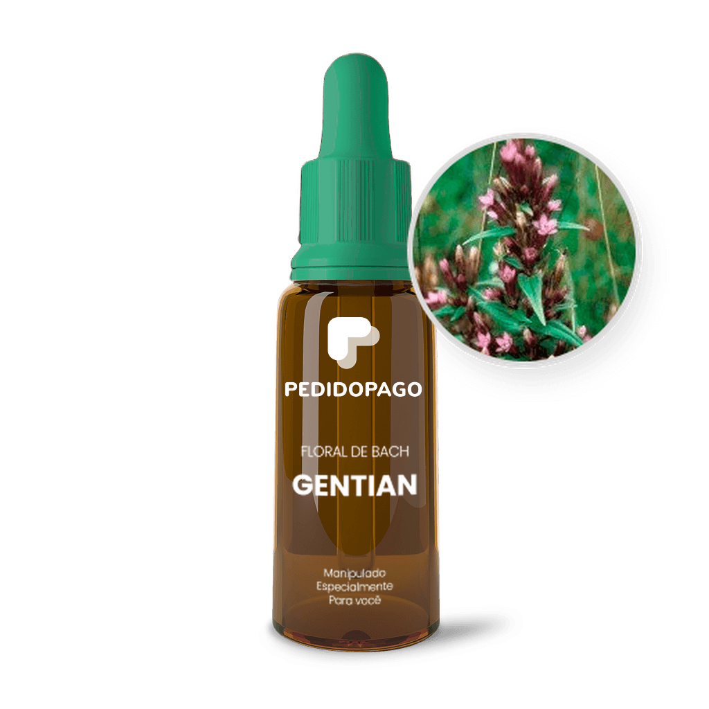 Imagem não encontrada