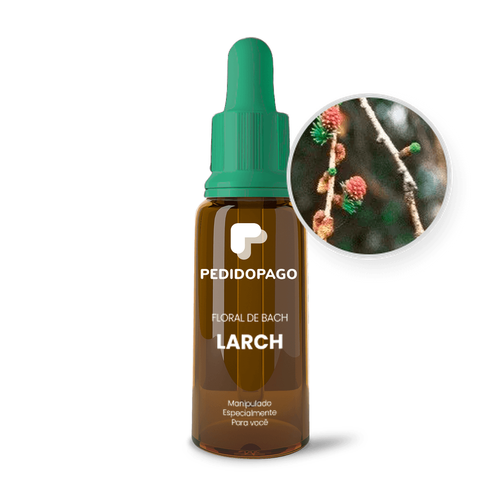 Imagem não encontrada